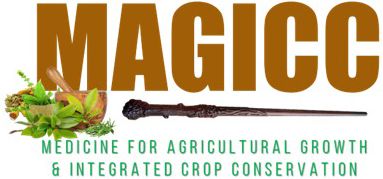 Magicc